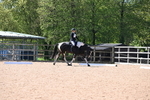 WJ6_8349