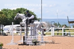 BPP_1848