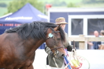 SBM_09723