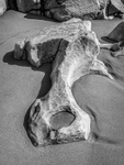05-Mewslade