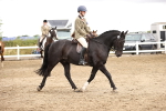 SBM_00654