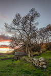 Hovels Knott