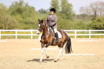 SBM_008009