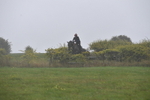 WJ5_7357