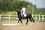 SBM_008007