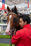 130626-Race 2-Extremely Zain-1740