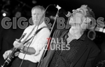 Dr Feelgood-31