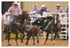 Rodeo Portfolio - Steer Wrestling 01