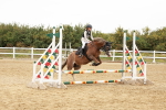 SBM_007529