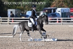 BPP_9024