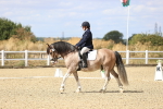 SBM_014565
