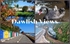 New Dawlish Views 2026