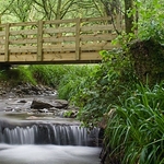 holmewood forest, loweswater
