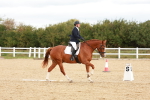SBM_002286