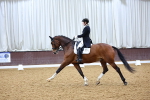 SBM_002594