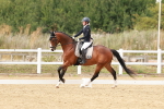SBM_001518