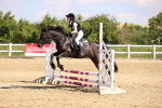 SBM_000482
