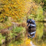 Macclesfield Canal between Bridges 28 and 29 (3)