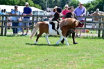 SBM_05815