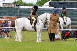 SBM_08199