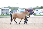 SBM_15338