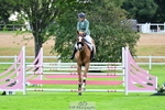 2026-08-21A-DSC_2741
