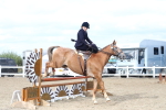 SBM_17398