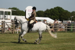 SBM_07699