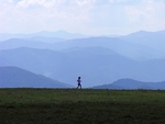 Max Patch Runner