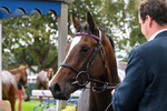 160926-Race 3-Myesme-0214
