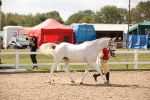 SBM_04558