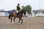 Class 802 - Ridden Groom - Helpers class portfolio