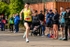 Livirelays25-915240