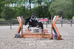 BPP_7296