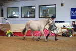 SBM_09548