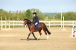 SBM_006149
