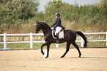 SBM_020413