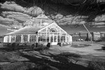 Winter Gardens, People's Palace,Glasgow - 7132 bw
