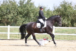 Class 14 - Novice 23 - 10.29-11.32 portfolio