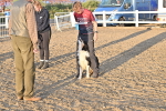 SBM_09649