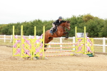 SBM_016007