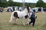 WJ6_5322