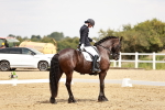 SBM_003708
