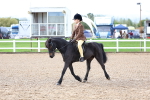SBM_00376