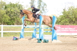 SBM_004308