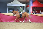 SBM_10673