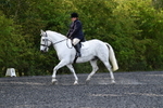 WJ5_8972