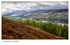 Loch Rannock