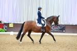 SBM_006153