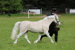 SIAL3160
